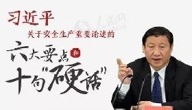 習近平：學黨史、悟思想、辦實事、開新局